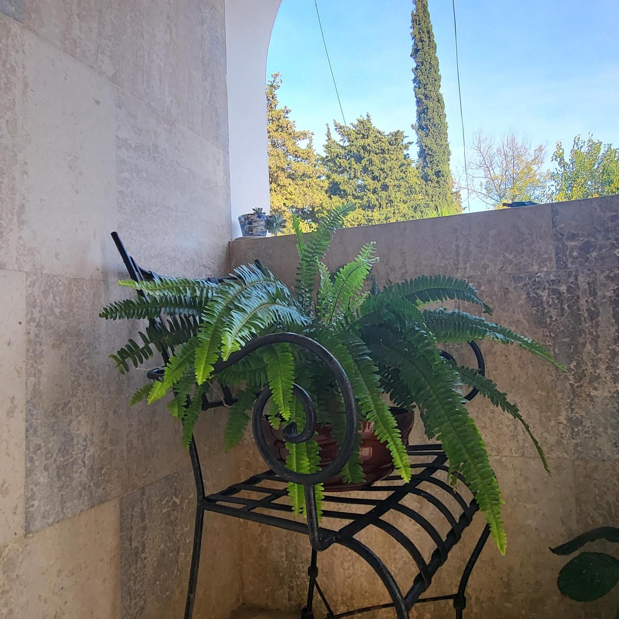 Studio Apartman Sa Pogledom Na More Meljine Luaran gambar