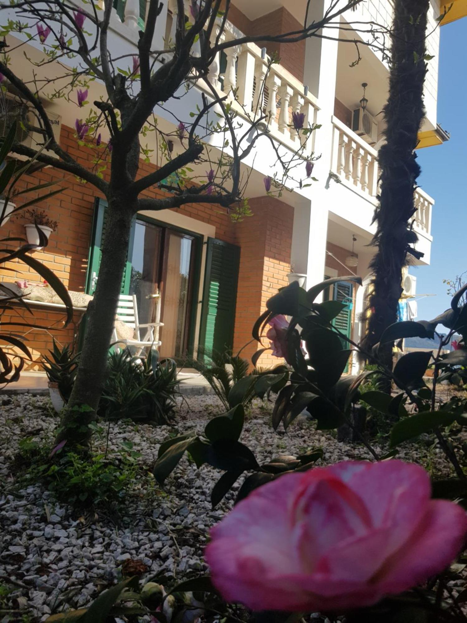 Studio Apartman Sa Pogledom Na More Meljine Luaran gambar
