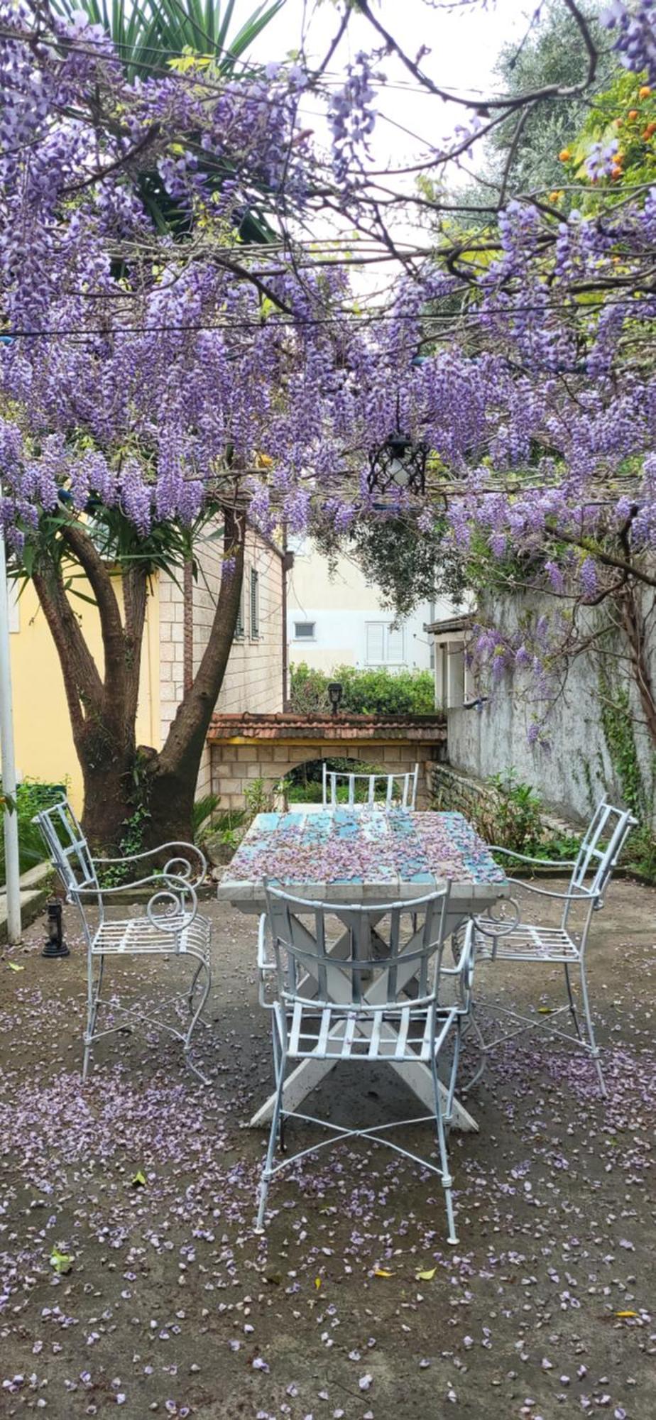 Studio Apartman Sa Pogledom Na More Meljine Luaran gambar